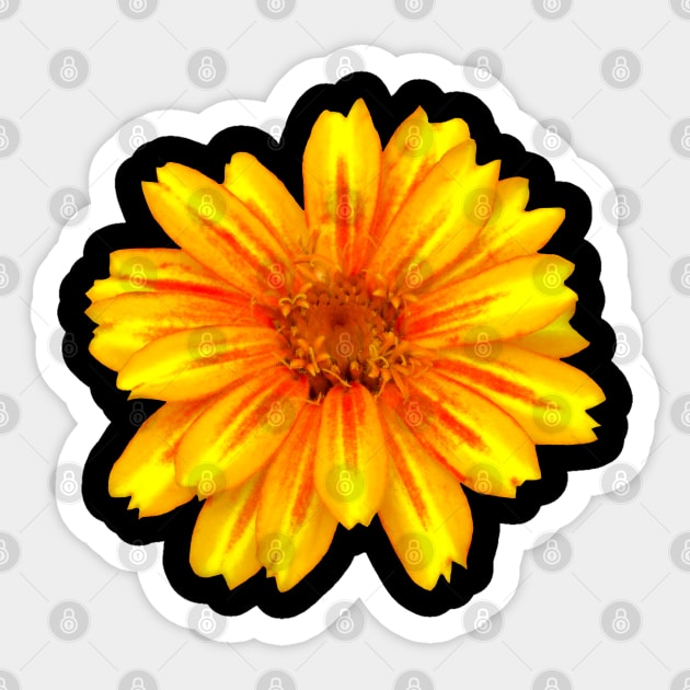 unique yellow red flower, bloom, flowers, petals Sticker by rh_naturestyles